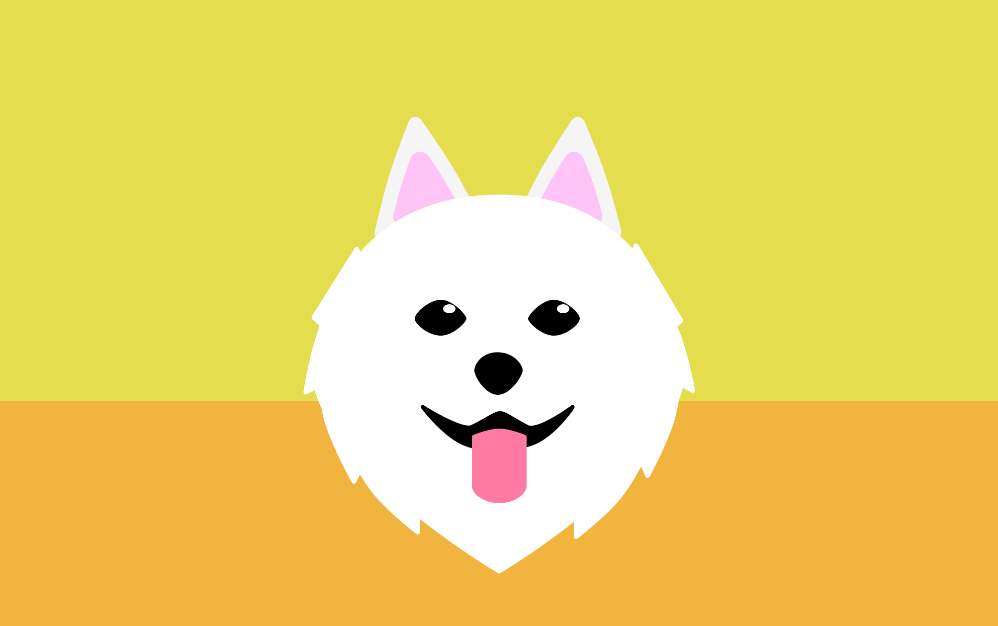 Illustration of a Samoyed Dog. Yellow-Orange Background